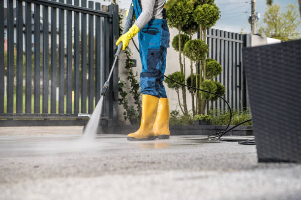 Local Pressure Washing Services in Valley Grande, AL